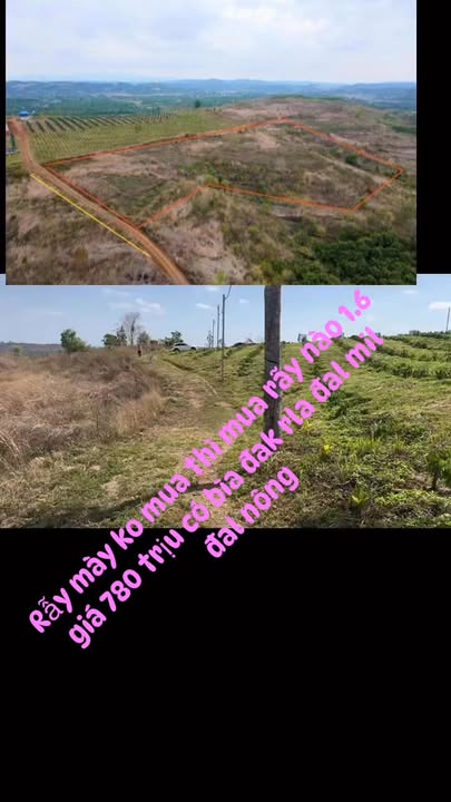 Bán Gấp 1.6ha Đất Đỏ Đắk Mil - Sổ Sẵn 780 Triệu