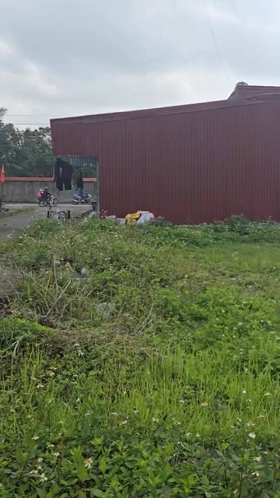 Đất nền Bái Khê Tiên Lữ 90m² 1.7 tỷ - Sổ đỏ chính chủ