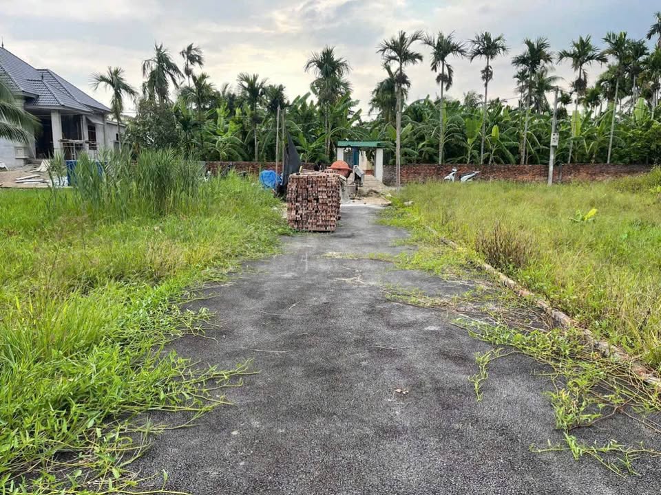 Bán Gấp Đất Nền 65.5m² Đường Nhựa 4m, Hải Phòng - Giá 8xx Triệu