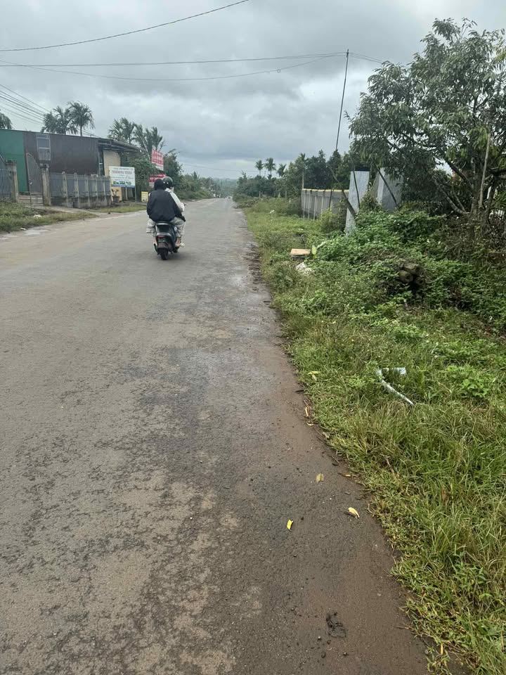 Bán Đất Vườn Phú Yên 576m² - 5 Cây Sầu Riêng, Giá 144 Triệu