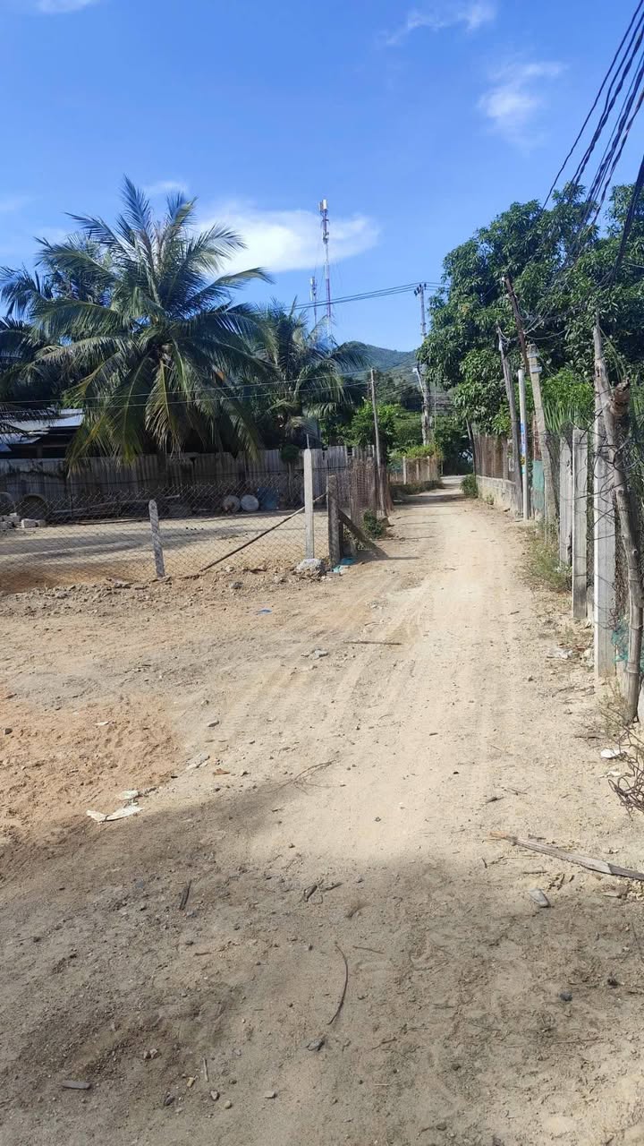 Đất Nền Ba Ngòi Cam Ranh 115m² - Sổ Đỏ Thổ Cư, Giá 1.3 Tỷ