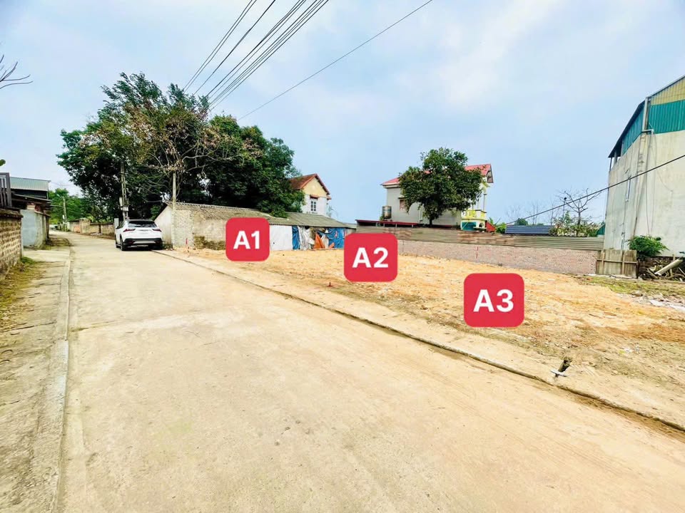 Đất Nền Bình Xuyên 98m² - Sổ Hồng Full Thổ Cư, Giá Đầu Tư Hấp Dẫn