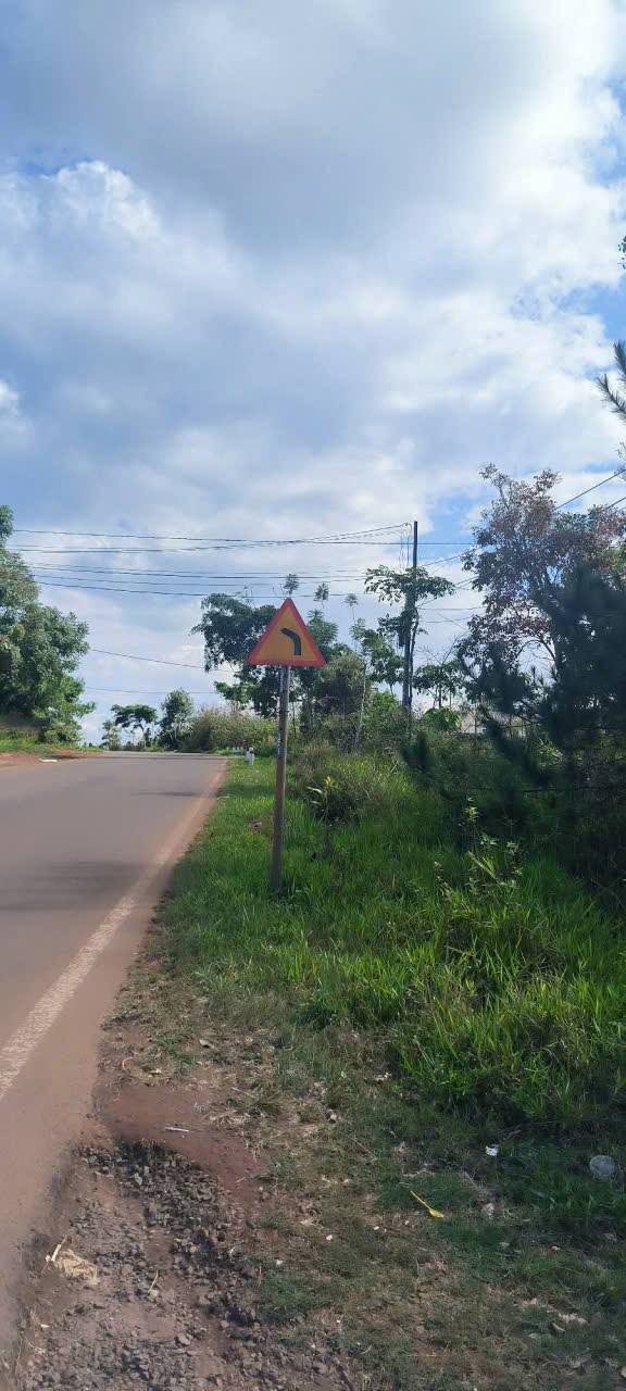 Đất Vườn Bảo Lộc 1500m² Mặt Tiền Lý Thường Kiệt - Nghỉ Dưỡng Lý Tưởng