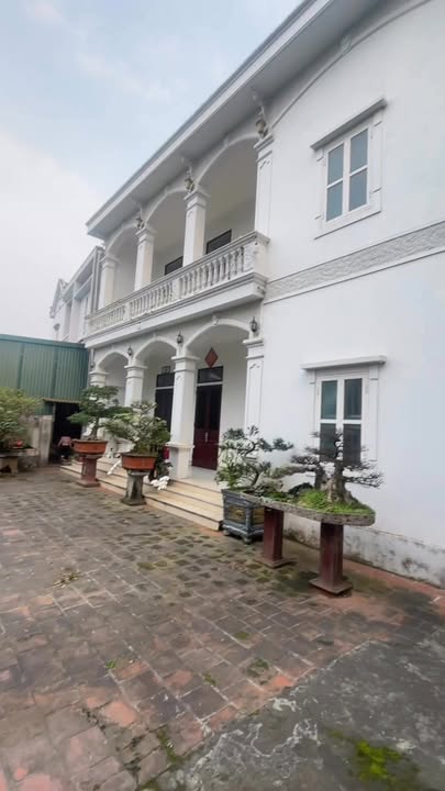 Bán Đất Vườn 378m² tại Phường Tân Dân, Việt Trì - Sổ Đỏ Riêng, Giá 6 Tỷ