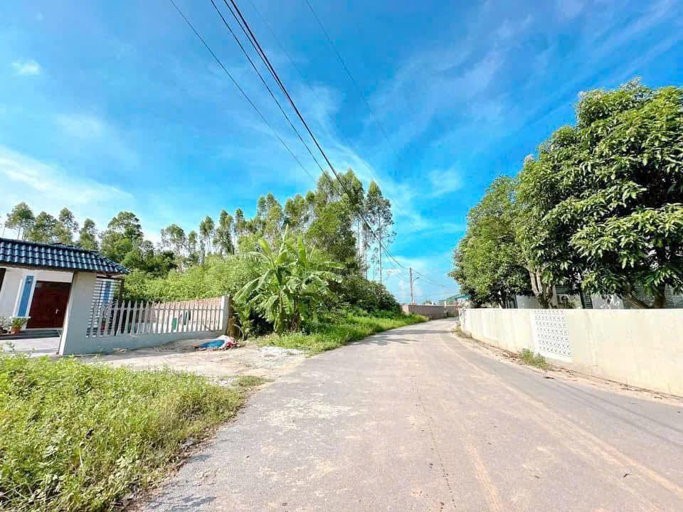 Bán đất nền 97m² Phường Vân Phú, Việt Trì - Sổ đỏ sẵn sàng