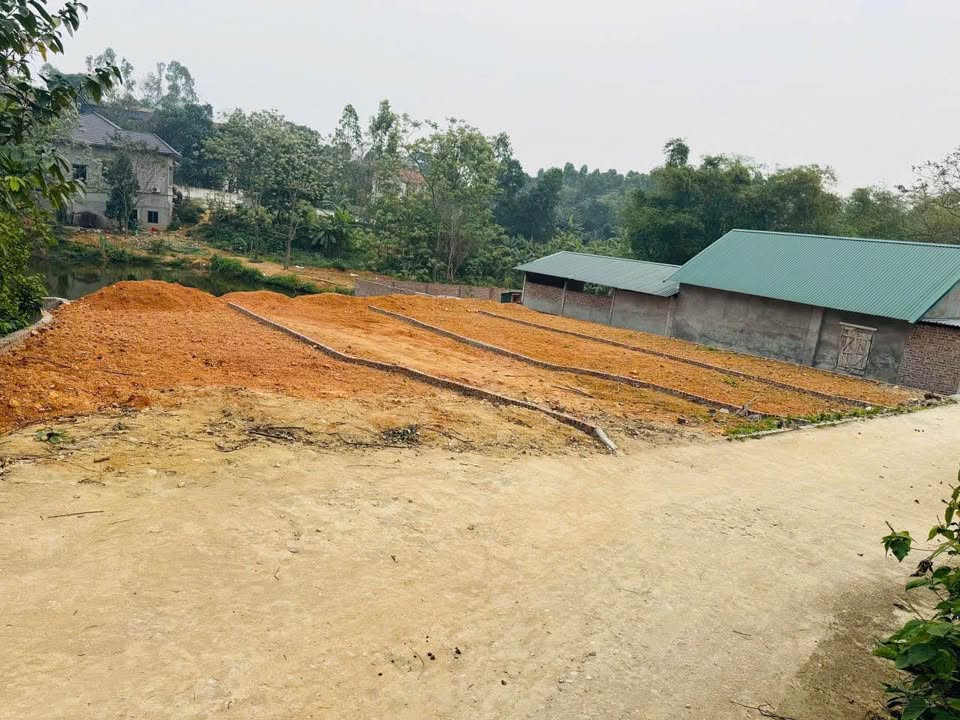 Đất nền Tam Quan Tam Đảo 100-115m² 4xx triệu - Sổ đỏ chính chủ