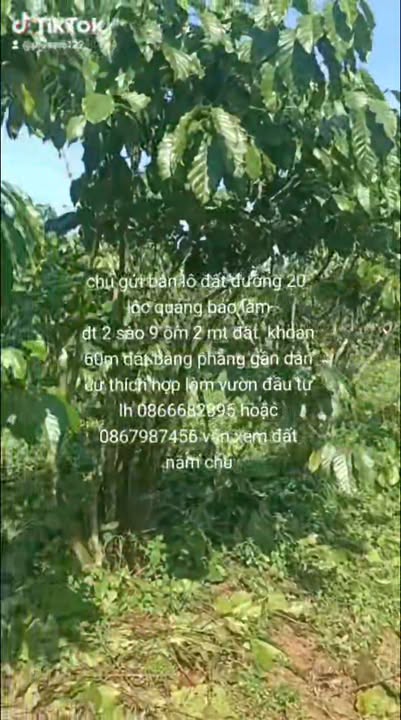 Đất Nền 1044m² Lộc Quảng, Bảo Lâm - Giá 2.2 Tỷ, Sổ Hồng, View Thoáng