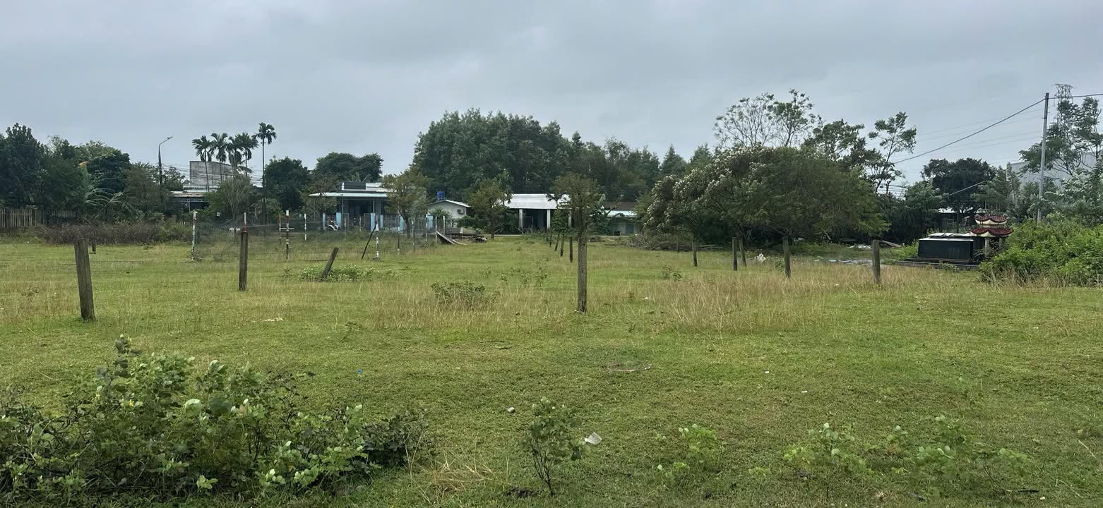 Đất nền Khu biệt thự Tây Yên, Cẩm Lệ 300m² - Giá tốt hiếm có!