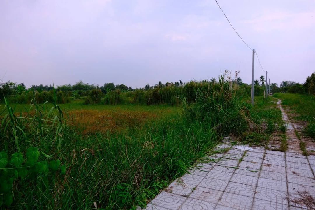 Đất Vườn Cần Thơ - 225m² P.Lê Bình, Q.Cái Răng - Giá 600 Triệu