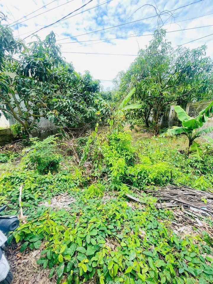 Bán Nền 2 Mặt Tiền 615m² TP. Cao Lãnh - Giá 2.35 Tỷ