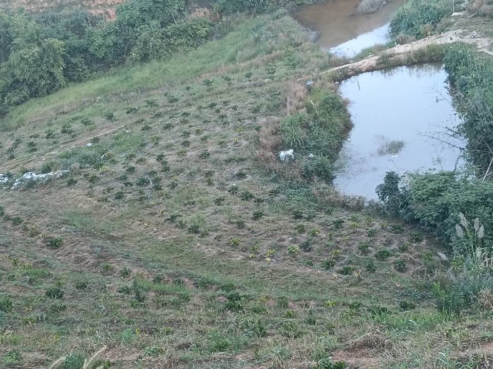 Bán Gấp 3.8ha Đất Trồng Cafe Tươi Tốt - Ngọc Hồi, Kon Tum