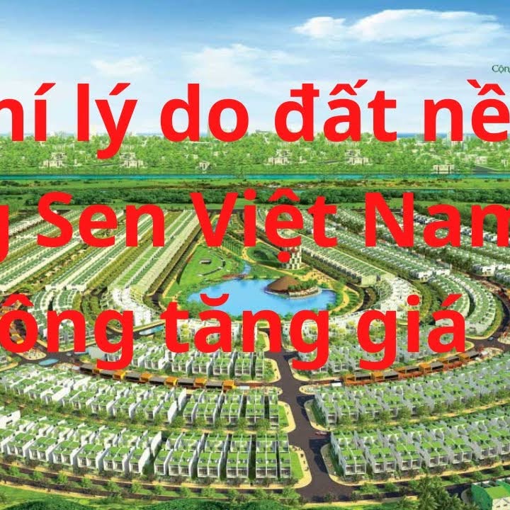 Đất Nền Đức Hòa Long An - 345m² - Sẵn Sổ Hồng - Giá 6.9 Tỷ