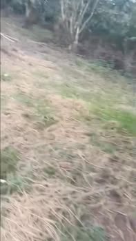 Bán Đất Mặt Tiền TL725, Lộc Ngãi, Bảo Lâm - 4300m² Sẵn Sàng Kinh Doanh