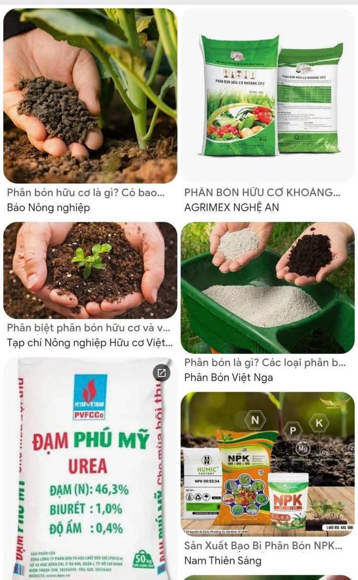 Cho thuê/Bán Xưởng 6.000m² KCN Hiệp Phước, Nhà Bè - Sẵn Sàng Sản Xuất Phân Bón