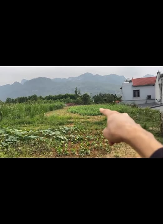 Bán Đất Xưởng 1800m² Xích Thổ, Nho Quan - Giá Đầu Tư Hơn 2 Tỷ