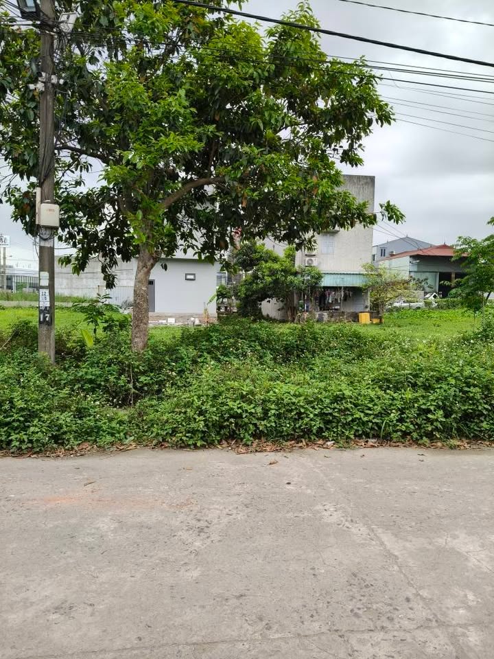 Đất nền mặt tiền 100m² - Trục đường 15m BigC Ninh Bình - Hướng Bắc