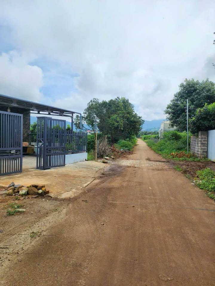 Bán Gấp Đất Vườn 4500m² Mặt Tiền Nguyễn Thị Minh Khai, Hàm Đức - Giá Đầu Tư 101.25 Tỷ