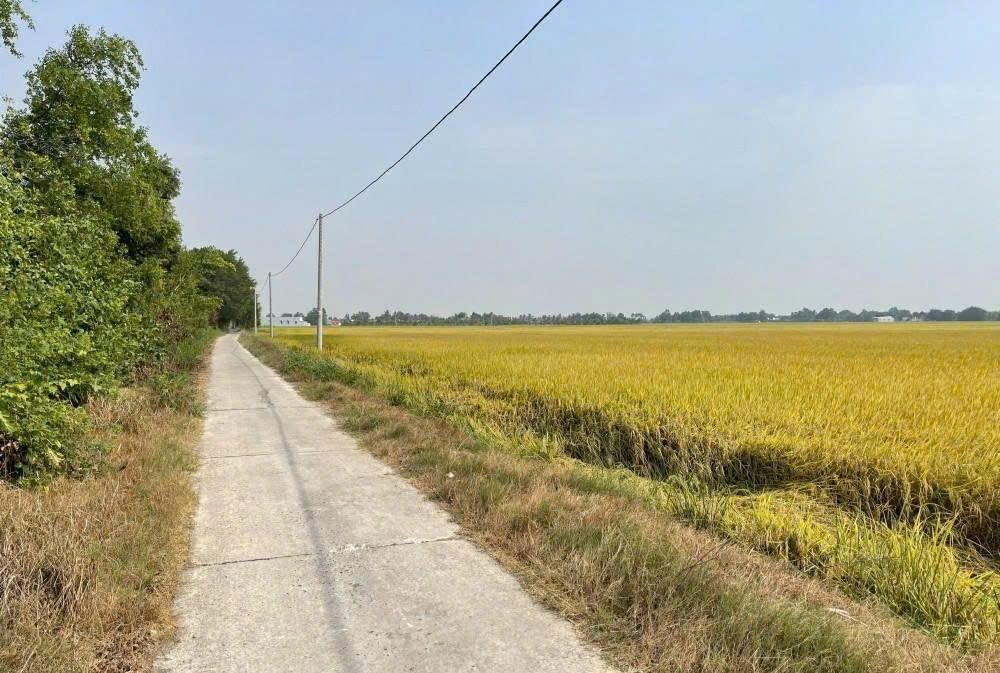 Bán đất Vĩnh Ngươn, Châu Đốc 550m² - Giá 5xx triệu, ô tô vào tận nơi