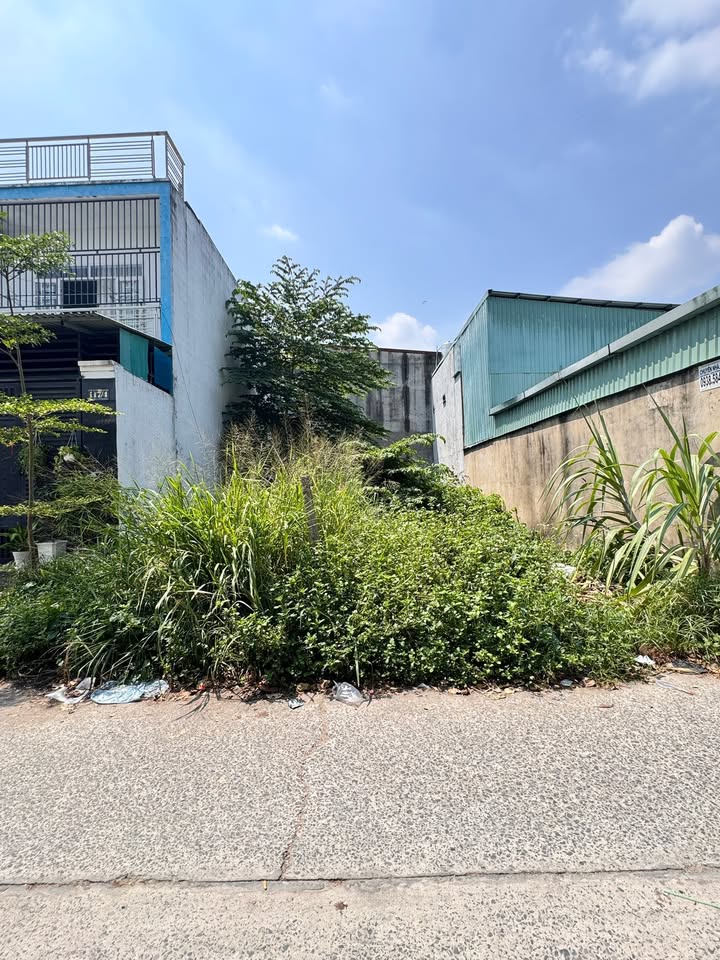 Bán Đất Mặt Tiền Hóc Môn 144m² - Vị Trí Vàng, Sẵn Sàng Xây Dựng