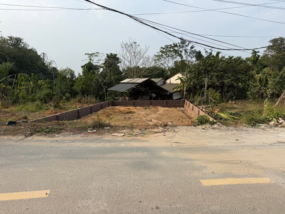 Bán đất 100m² mặt đường nhựa Mạn Lạn - Thanh Ba, Phú Thọ - Kinh doanh sầm uất