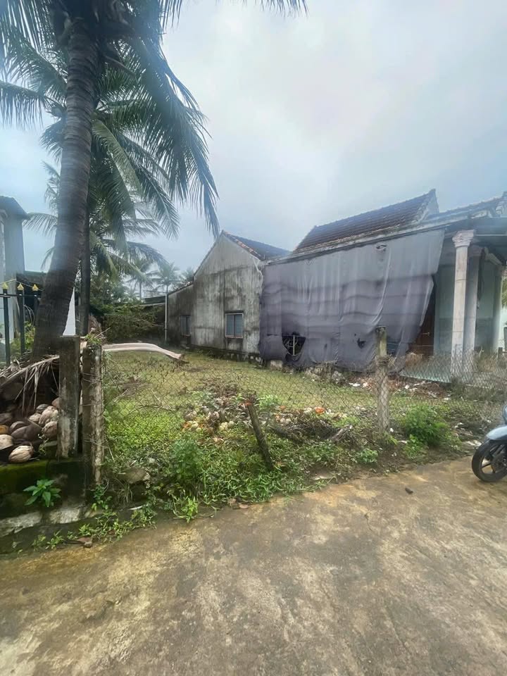 Bán đất thổ cư 126m² tại Hoài Nhơn, Bình Định - Sẵn sổ, giá tốt