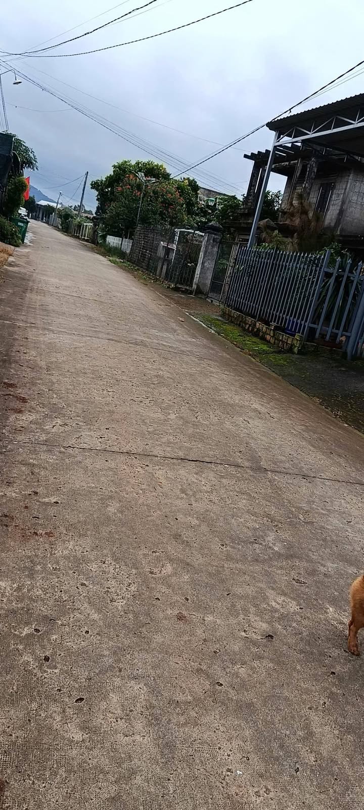 Đất Nền Lạc Dương 250m² - Cách Sân Bay 5 Phút, 1.8 Tỷ