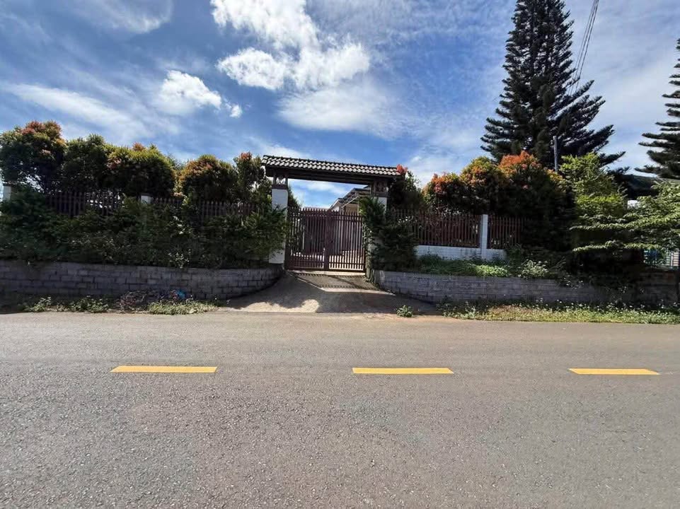 Đất Vàng Mặt Tiền Nguyễn Trãi, Bảo Lộc 1083m² - Sẵn 100m² Thổ Cư, Giá 7.5 Tỷ