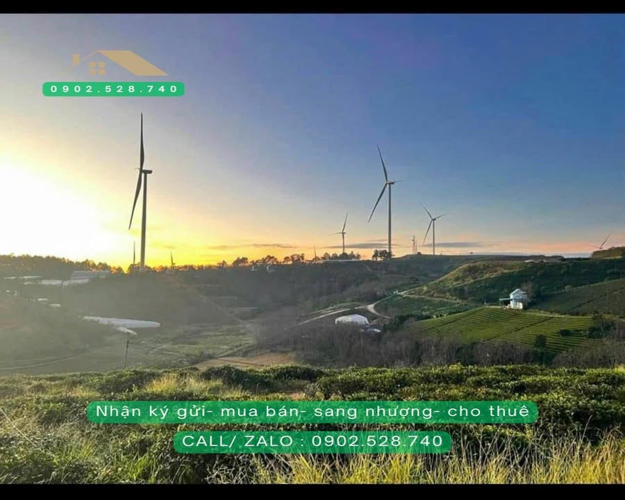 Cho thuê Đất Vườn Đồi Chè Cầu Đất 5000m² - View Đẹp, Giá 8 Triệu/Tháng