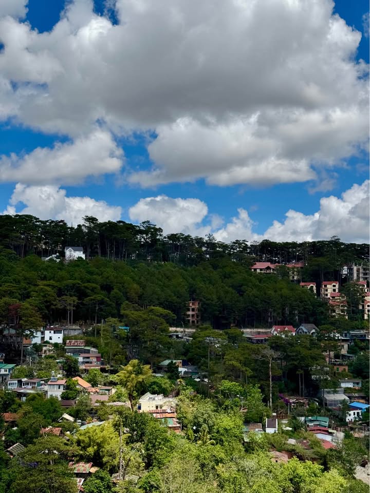 Bán Gấp Nhà 10 Căn Hộ Mặt Tiền Đặng Thái Thân, Đà Lạt - View Thung Lũng