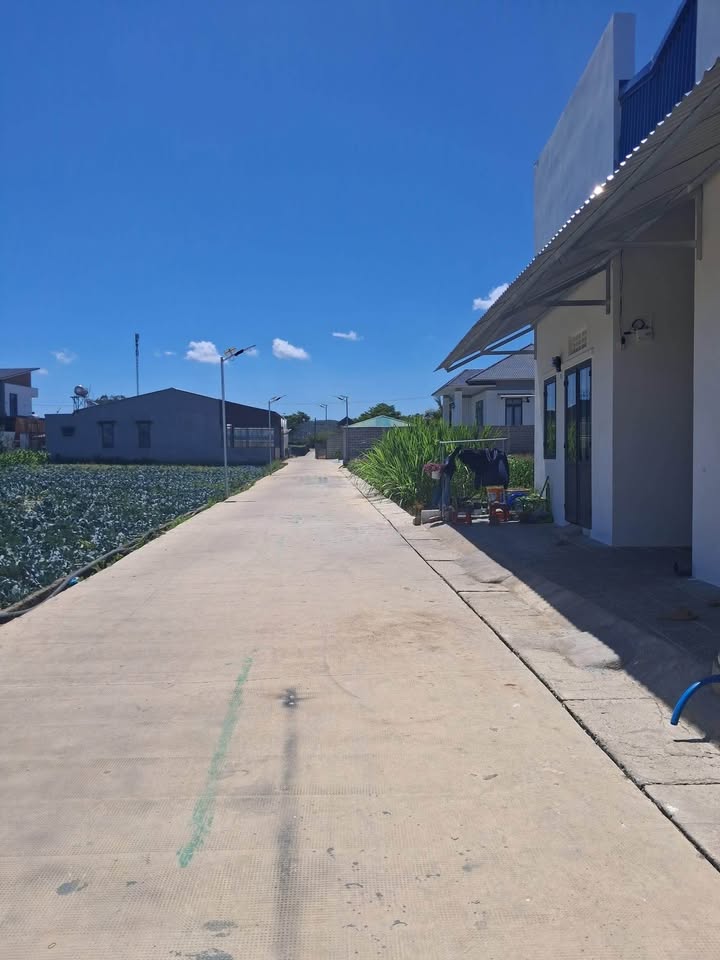 Đất Nền Đức Trọng 260m² - Sổ Hồng Sẵn Sàng, Giá Tốt Nhất Khu Vực