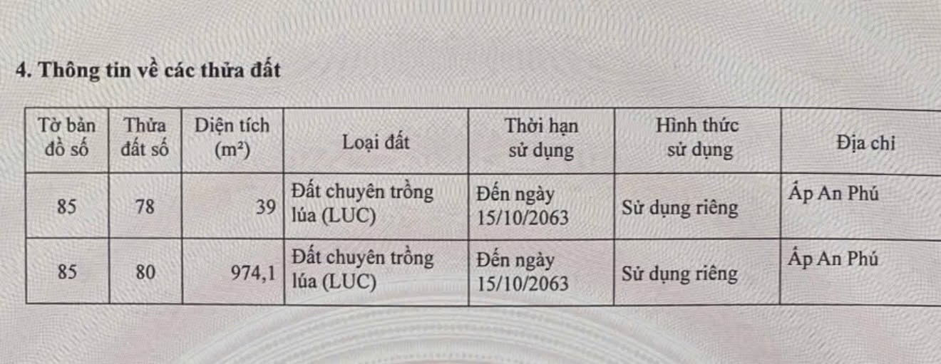 Đất thổ cư 80.5m² Xã An Thạnh Trung, Chợ Mới - Giá 260 triệu