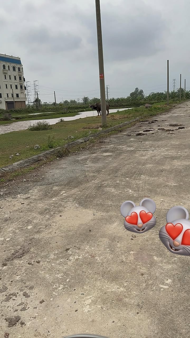 Đất Nền Hướng Bắc Lưu Phương, Nam Định - 144m² Giá 1.4 Tỷ