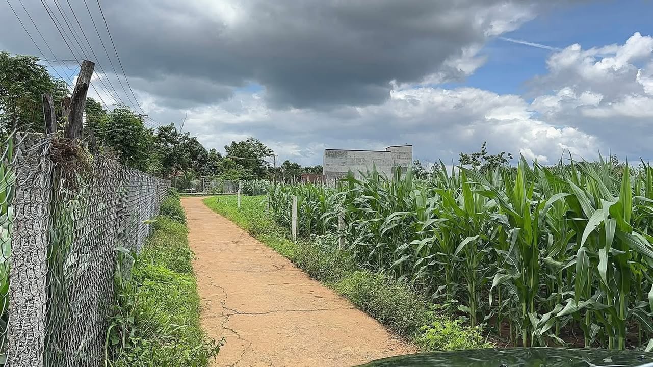 Đất Nền Thổ Cư 185m² Sổ Hồng Sẵn - Giá Tốt 380 Triệu Tại Đơn Dương