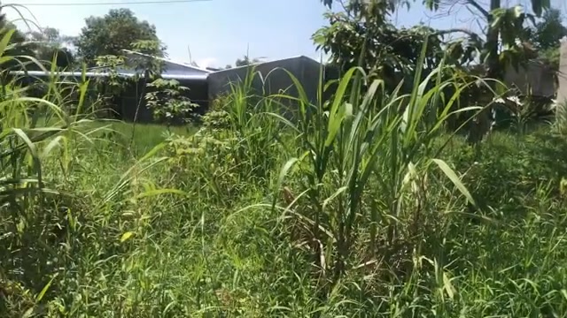 Đất nền Mặt tiền Xã Kiến Bình, Tân Thạnh 100m² - Sổ hồng sẵn, tiềm năng sinh lời cao