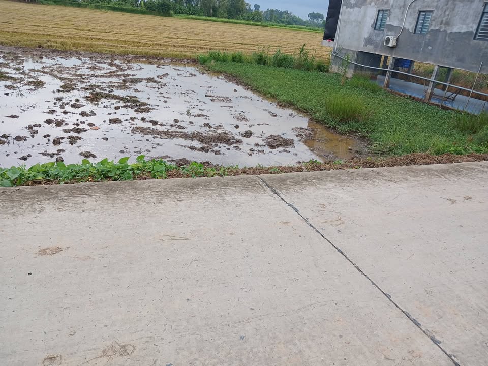 Đất nền Lấp Vò, Đồng Tháp - 368m² - Sổ hồng riêng - Giá 900 triệu