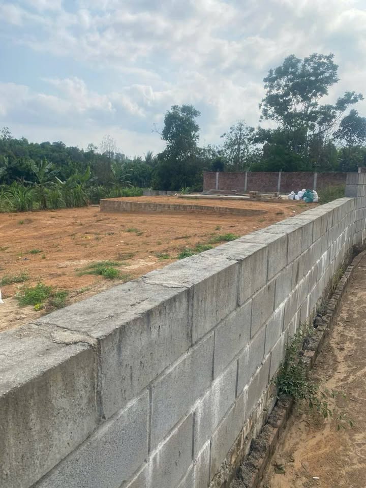 Bán Đất Vườn Hòa Nhơn 1200m² – Không Gian Nghỉ Dưỡng Lý Tưởng