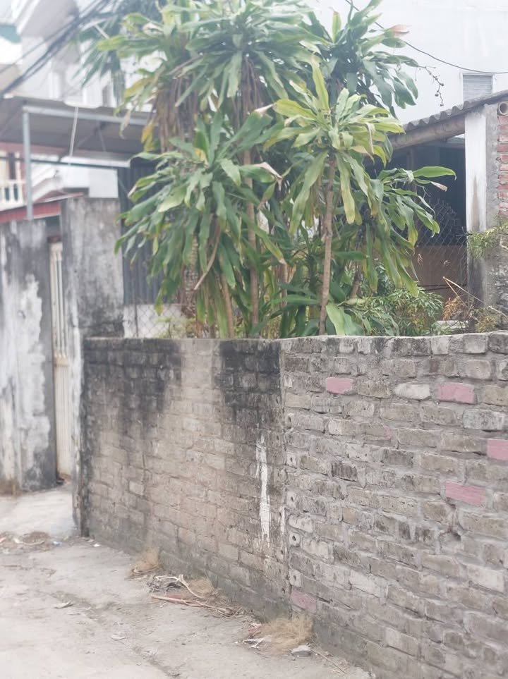 Đất nền Bá Liễu, Thanh Hà 63m² - Ngõ rộng ô tô, giá 1.9 tỷ