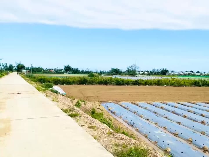 Đất Vườn Lục Lễ Tuy Phước 1200m² - View Sông Chill, 6xx Triệu Sở Hữu Ngay