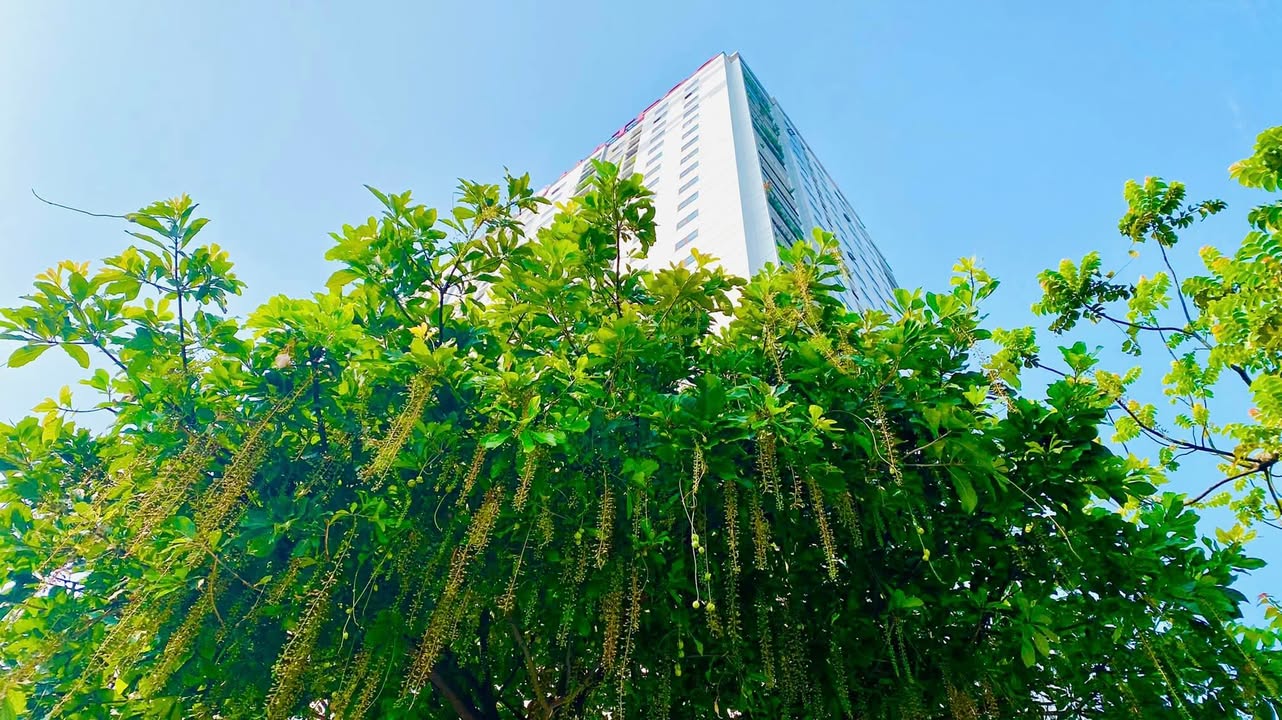 Cho thuê Căn Góc Hateco Hoàng Mai 3PN - View Thoáng, Giá Tốt