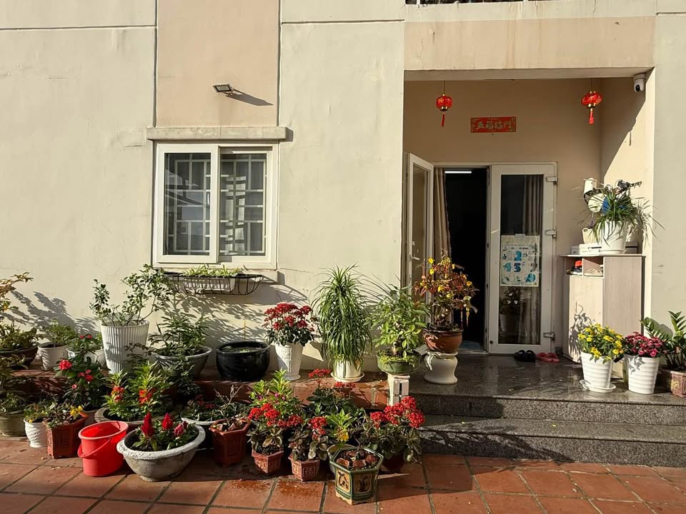 Bán Căn Góc Chung Cư Simona Quy Nhơn 50m², 2PN - Vị Trí Đẹp Nhất