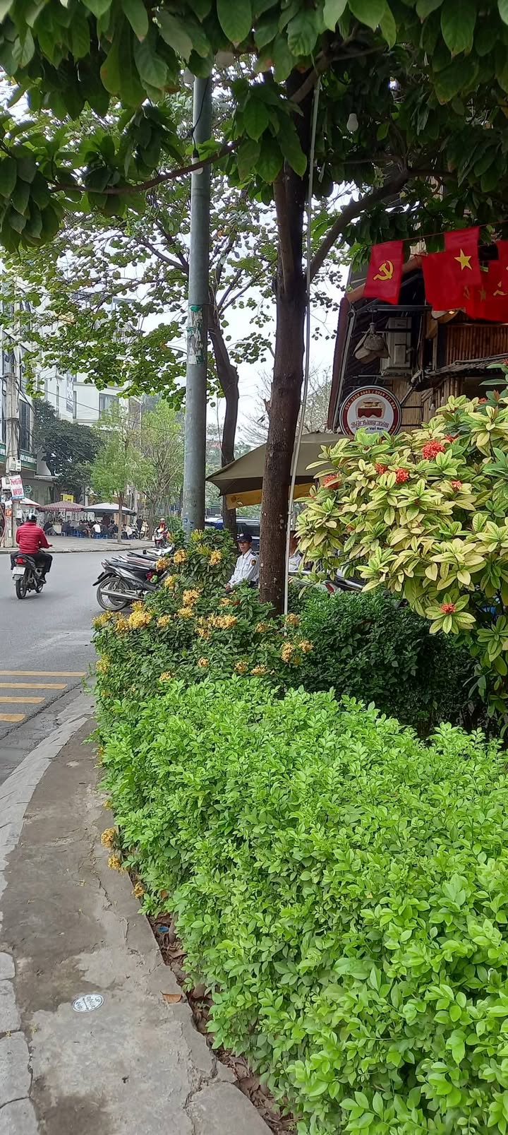 Đất nền Nguyễn Văn Huyên Kéo Dài 58m² - Kinh Doanh Đắc Lợi, Sổ Đỏ Vuông Vắn