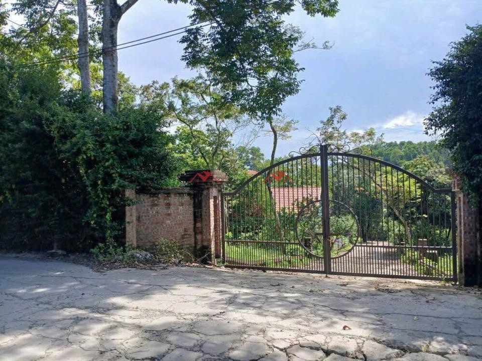 Đất nền Xuân Mai Hà Nội 3.500m² thỏa thuận - Sổ đỏ chính chủ