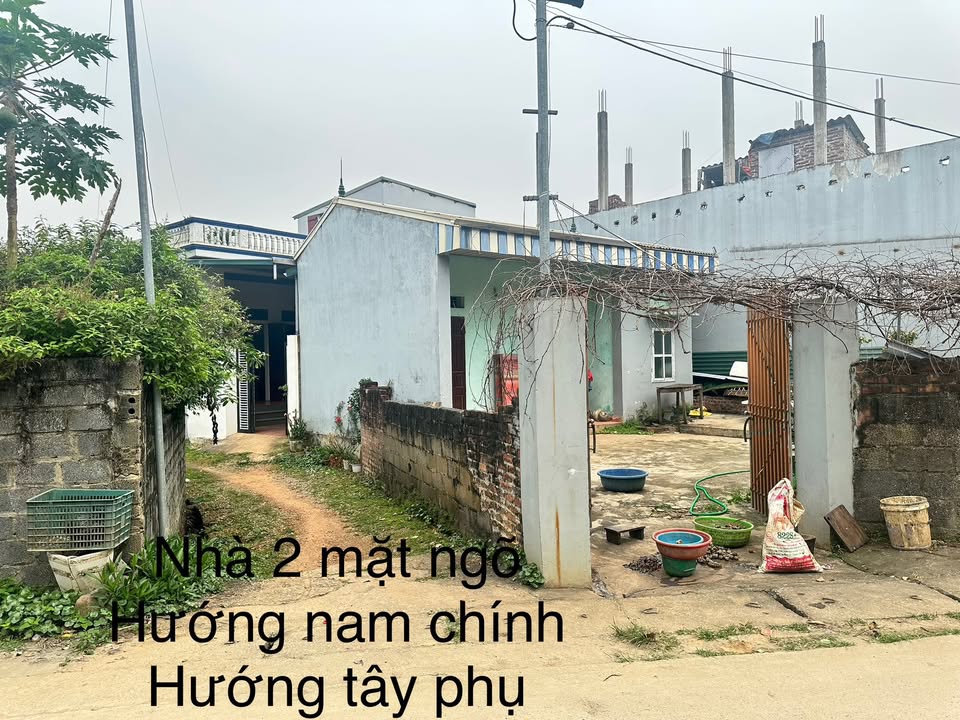 Đất Vàng Bạch Thất 117m² - Mặt Tiền 12m - Đầu Tư Sinh Lời Gấp Đôi
