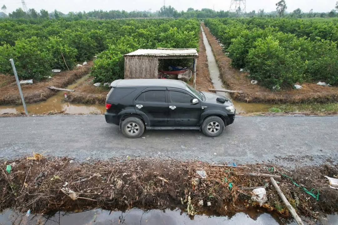 Đất Vườn 5400m² Xã Thạnh Hòa, Bến Lức - Trồng Chanh Thu Hoạch Ngay, Giá 399 Triệu