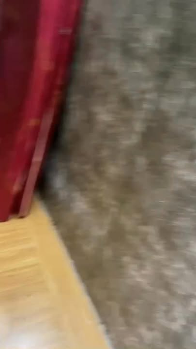 Phòng trọ Quảng An Tây Hồ 2.5 triệu/tháng - Sẵn sàng ở ngay