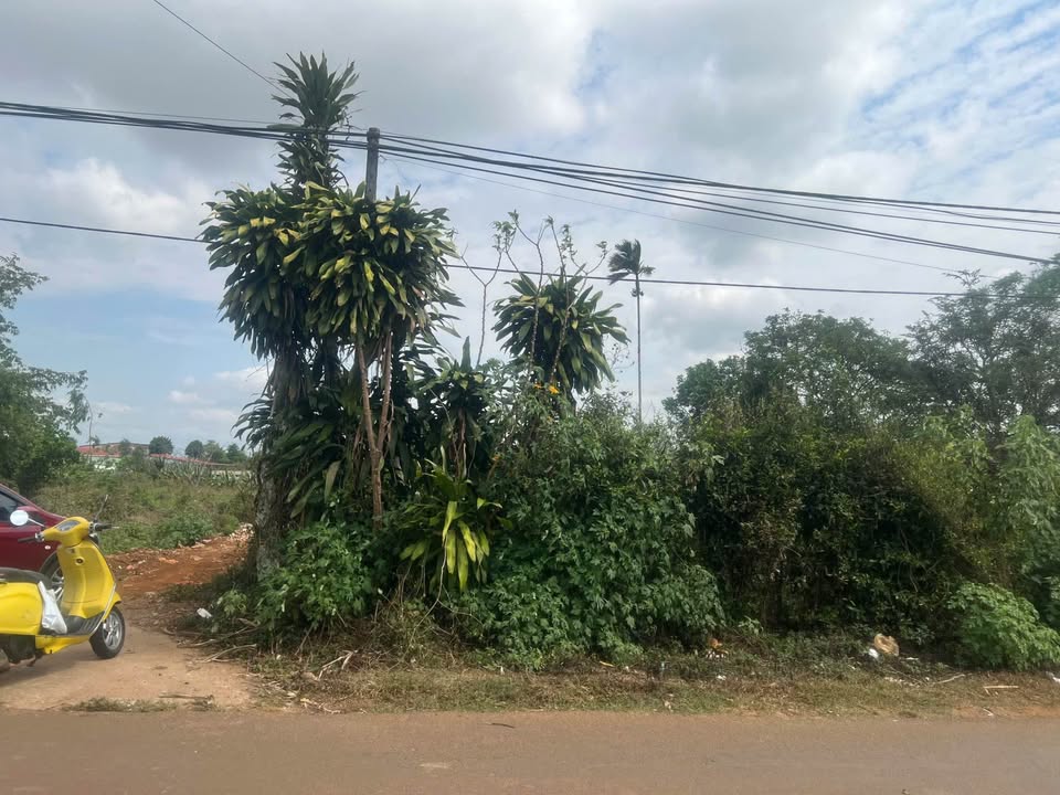 Bán Đất Vàng Mặt Tiền Nguyễn Biểu, Pleiku - 145m² - Giá 1.416 Tỷ