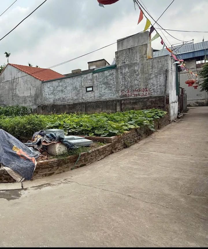 Đất nền Chương Mỹ 40m² Sổ đỏ sẵn sàng - Đầu tư sinh lời ngay!