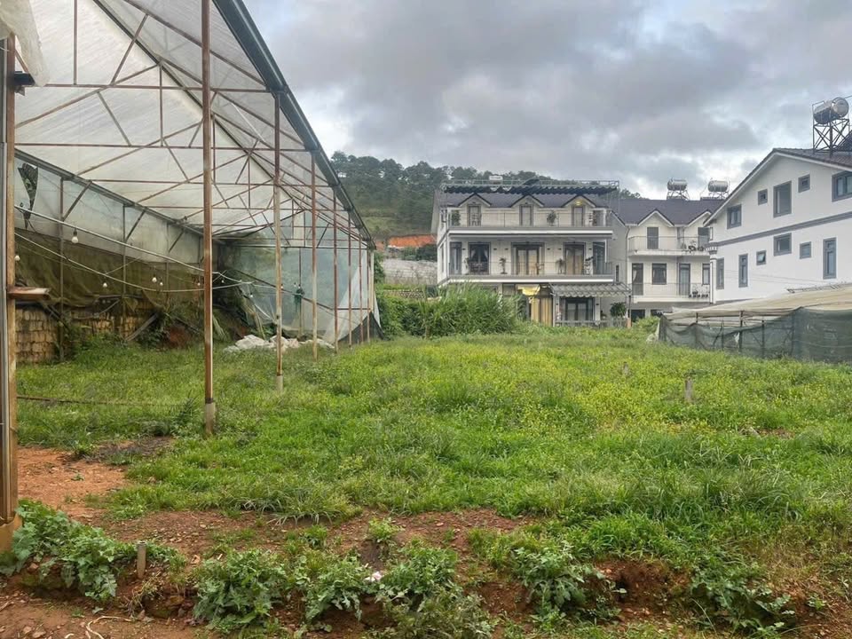 Bán Đất Xây Dựng Đà Lạt 209m² - Sổ Riêng, Gần Trung Tâm