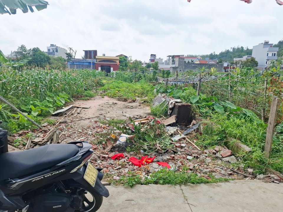 Đất Nền An Lão 100m² - Sổ Đỏ Sẵn Sàng, Giá Tốt Đầu Tư