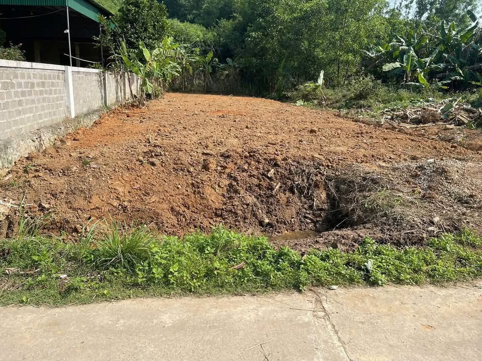 Đất nền Yên Thành 255m² full thổ cư - Giá tốt 600 triệu